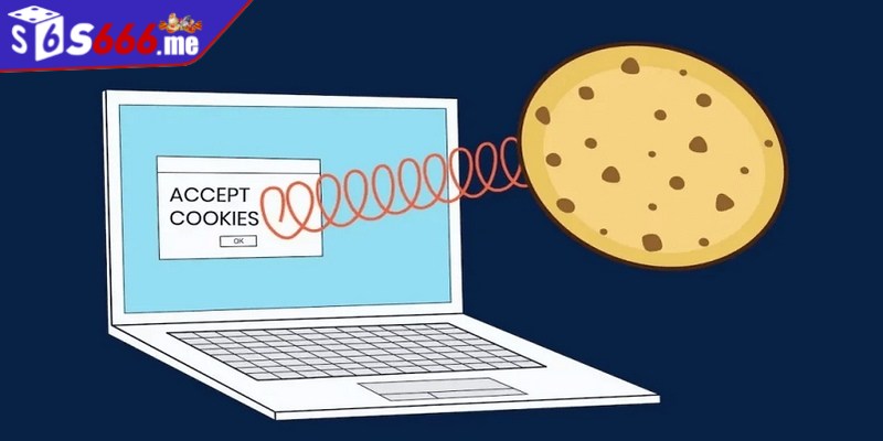 Cookies giúp hệ thống hiểu rõ hơn về hành vi của mọi hội viên