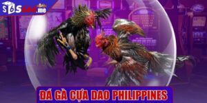 Đá gà cựa dao Philippine