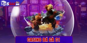 Casino đá gà c1