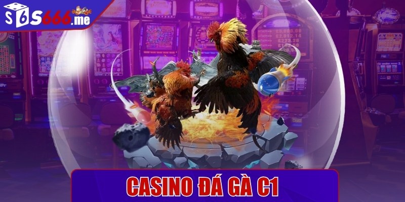 Casino đá gà c1