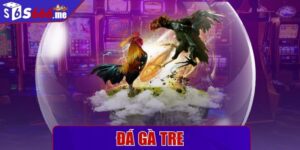 Đá gà tre